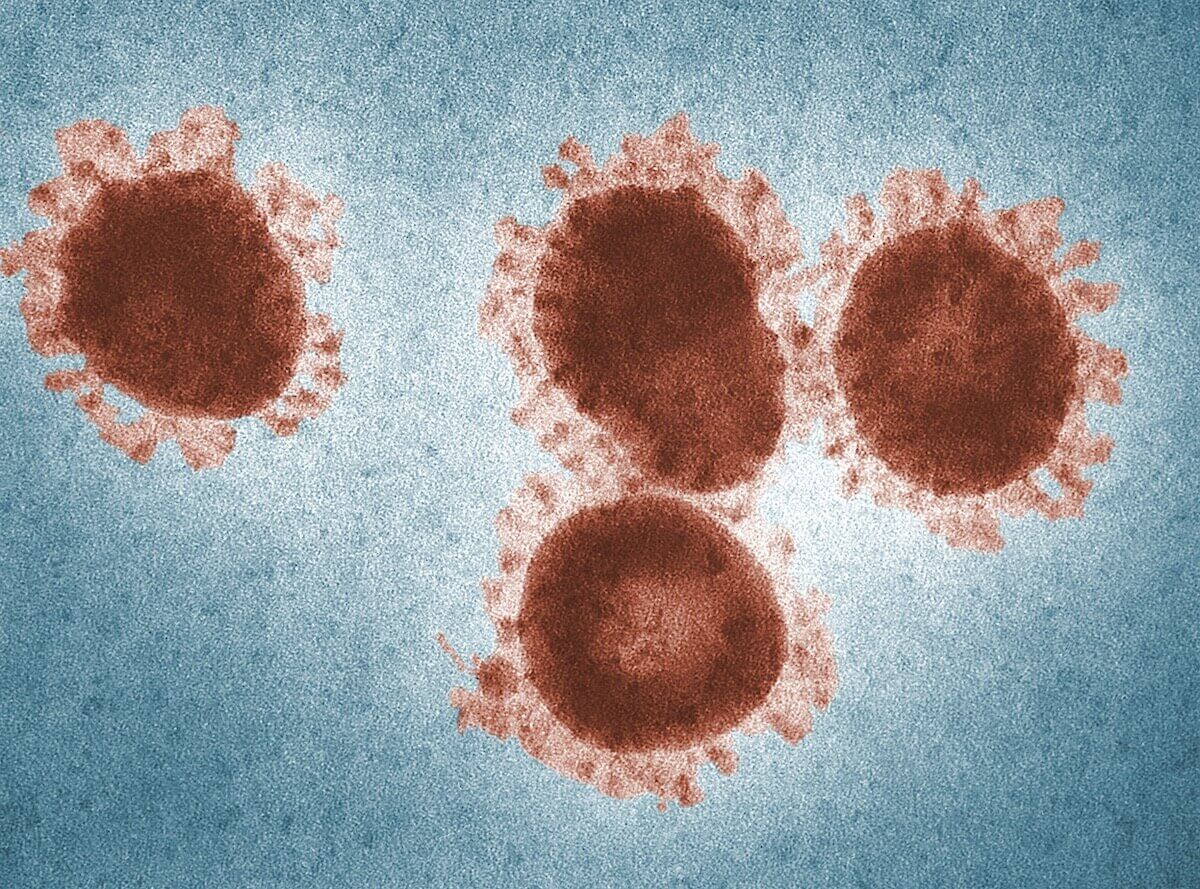 Coronavirus_Genetic_Markers